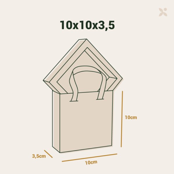 Cajas bolsas 10x10x3,5