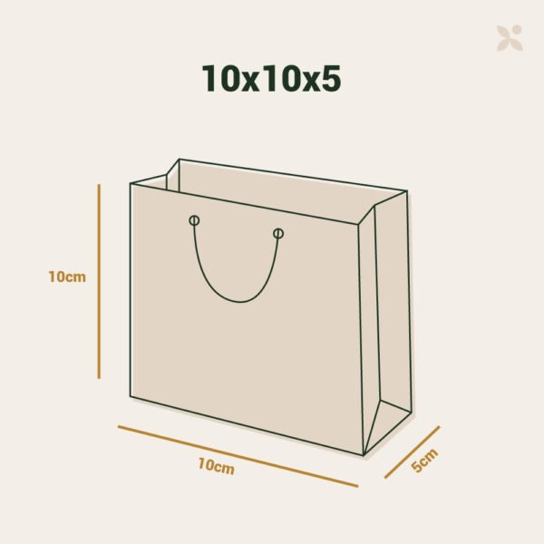 Bolsa 10x10x5