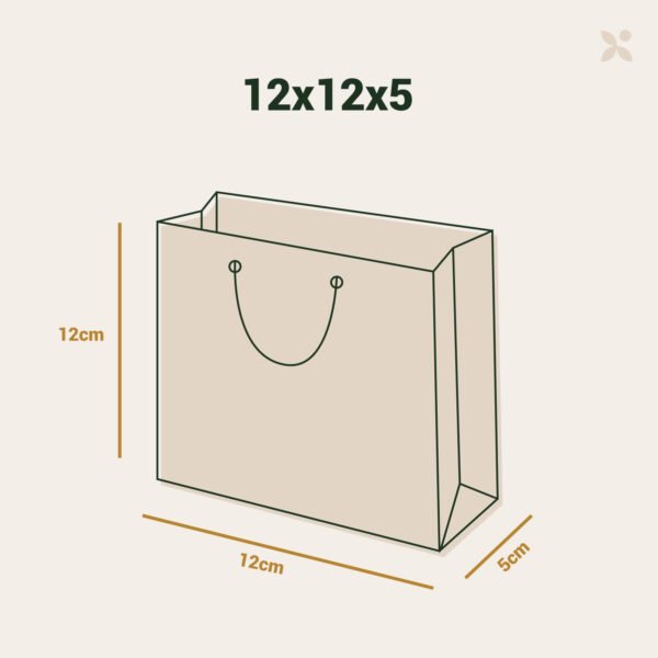 Bolsa 12x12x5